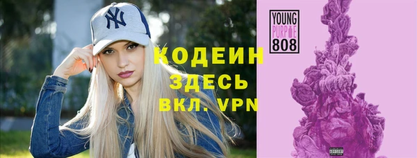 индика Верхний Тагил