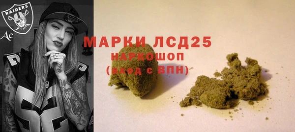 гашик Волосово