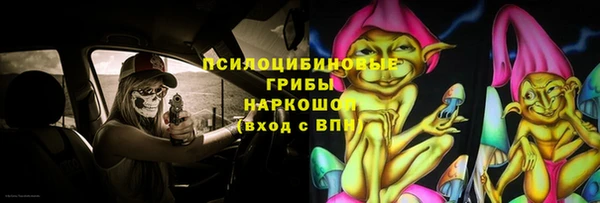гашик Волосово