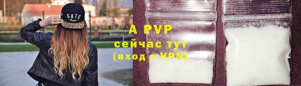 амф Сосновый Бор