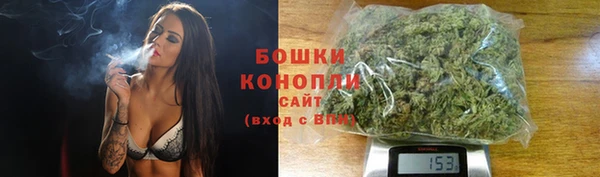 индика Верхний Тагил