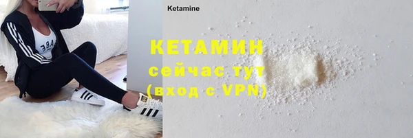 индика Верхний Тагил