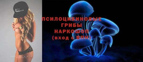 индика Верхний Тагил