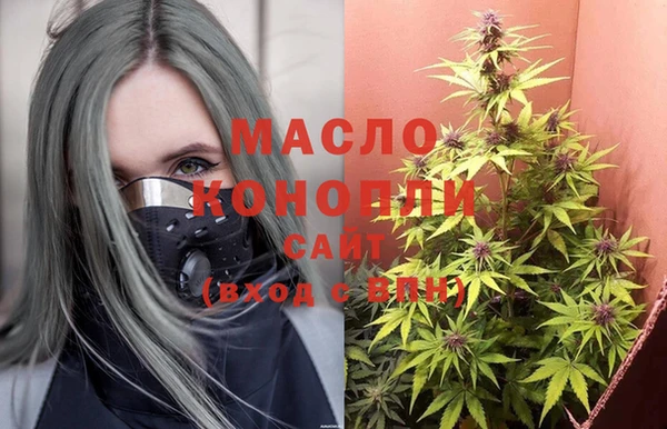 индика Верхний Тагил