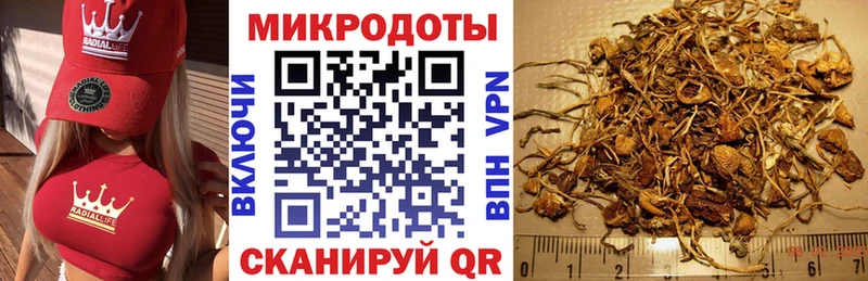 Галлюциногенные грибы прущие грибы  купить закладку  Верхотурье 