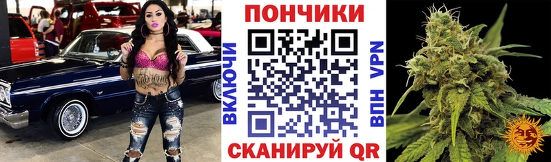 Бошки Шишки сатива  hydra ТОР  Верхотурье 